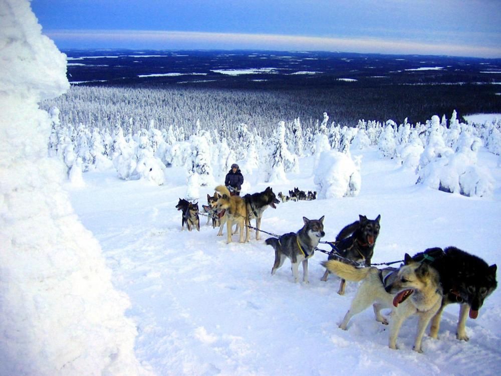 Шале Lampiranta Log cabin Хосса